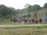 8ccc488338639df51054d18007f8f27f