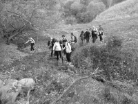 8e504357303e05cf19a524962aab1c5a