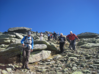 8fb660d8250ccb91dabcfe7f07d06f3a