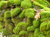 90121046e980b0aade80ff6e2f569ec0