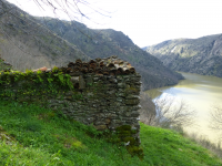 90205358ecaf9066697a6a3fc181de1d