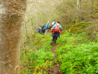 90962790ef75ba1015e8bf10c40fba98