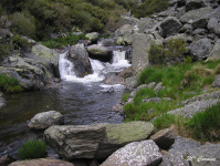 90efe5f58569417544fdbebf618bce4f