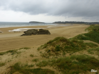 90f9bf811c37425eeffb8370468f4966