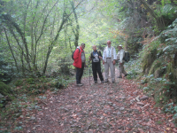 911b0a9fe47daf8f1665bd14a16181f4