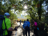 912ece461a44d9e1e97a7fcab95001cd