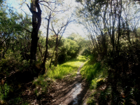 9196ded87208aaa4a09cfa392cce5e84