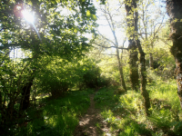 92729c5ca00712857dca03f13c32e5bf