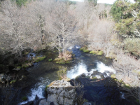 92c26b3dfe909bd4be7790bff536350a