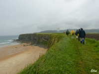 9352885d7a061350adbdcd15c7bb07f8