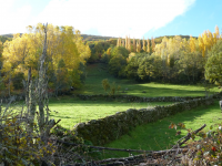 93ad1c126148384c9b155050c751d967