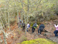 93f54e372e1b2101c158c72204125cec