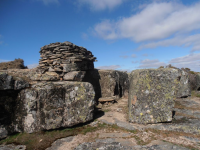 94f7467805c329a5f8a1b6e9398c2808