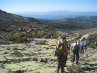 956463555328d1761b37f4d24a8141b8