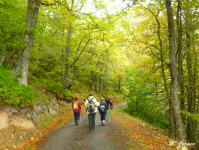 962a716214356d8d6377324eeb94b578