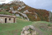 976286564fcd79e4c8ff8d8c187efcbd