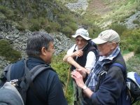 98f2a080df6cea77c58ac3457bd741d8