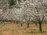 9e9703e01072e11dd6f7f68fffe88bf6