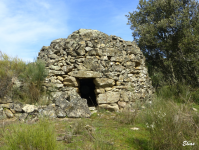 9ea9232ed92553351ffce8e252afa065