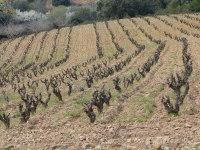 9ec316f14041a24103a06b419547ccd7