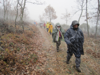 A1a0e81c67453eefc5103c35386eb66a