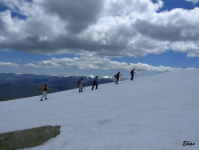 A2fdda0fedce37703e02293f2c568be8