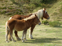 A31884654b58094e58627bcdddf746a6