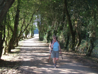 A323b8092e53ad3b183b7f8c1907b1e5