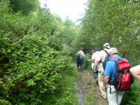 A3724b9e8a5921824ad057f3b16a0f7f