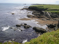 A456582cd4bc8f66457f51413750cc16