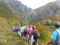 A516d795b1fd1523e334d1c1702fc930