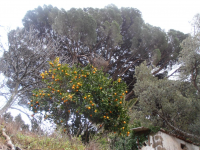 A55f8d2cf3d677b7f0b9a4825424d395