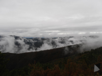 A5c1c050eb05dce4c6b436db7e819940