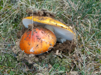 A64dca1d969717292b68b13ebae89220