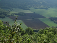 A73ade33355d9a1be495443349318318