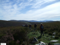 A7ed10e26eff9f0f758f98c03a02d518