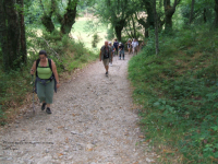 A8ba3e942475fb3fbc299bd3e796962b