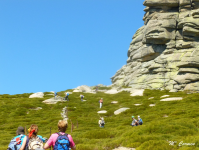 A984f685979bcc5a3d75fa5396a0aa2f