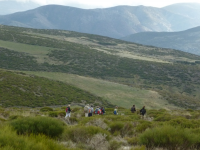 A99897c765abbd9448ae7cdf8a416825