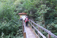 A9e0e6dead59af0832de542402952763