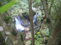 Aae22ae97a9b2eef3032430b97046325