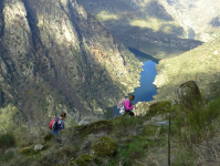 Ab1c78b01ff02ebc1a577ff7fdd6b271