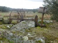 Ab507964e9ec6931f60400798cc3b403