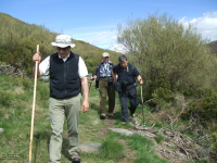 Ada183032de7600d0f8b93b796db02c3