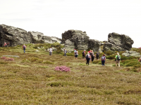 Ada370054fa4b6698a4b8e7dcc51c237