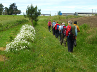 Adb10f3f8e05fca75446853b5bab8249