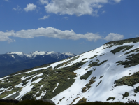 Adfc6b363ef5456c376bad30c32da5ff