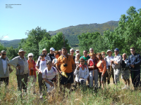 Ae975801ee20515f473dcfd784ae8715