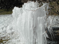 Ae9a7f7923a91bfee0b741f9fe6c3f3b