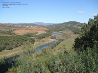 Aee91846a8b40e9ae3af0972b0f74be7